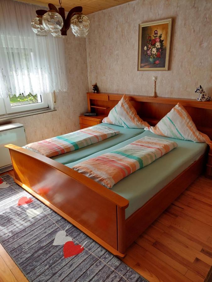 Urige Gemuetliche Ferienwohnung 64 M2 In Dielheim, Naehe Heidelberg Esterno foto