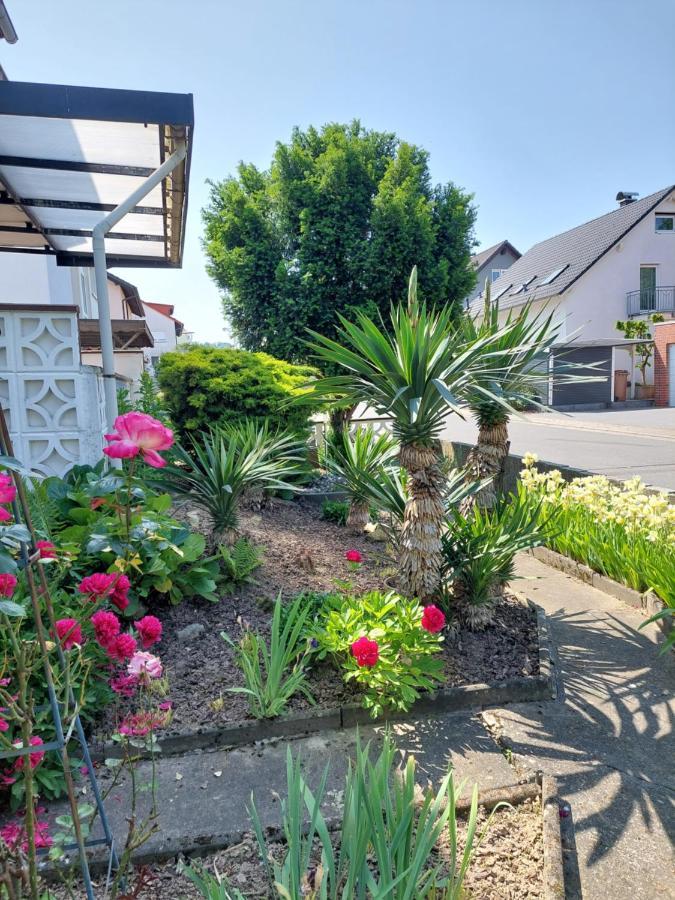 Urige Gemuetliche Ferienwohnung 64 M2 In Dielheim, Naehe Heidelberg Esterno foto